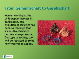 From Gemeinschaft to Gesellschaft
Women working at the
chilli pepper harvest in
Bangladesh. The
evolution of societies has
been so thorough that
scenes like this have
become strange, exotic.
Our type of society, too,
will be replaced by some
new type yet to appear.
 