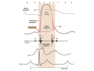 Chapter 22 Mechanism of Cardiac Contraction.pptx