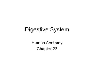 Digestive System
Human Anatomy
Chapter 22
 