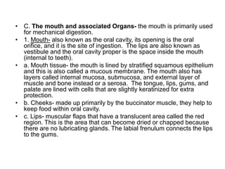 • C. The mouth and associated Organs- the mouth is primarily used
for mechanical digestion.
• 1. Mouth- also known as the oral cavity, its opening is the oral
orifice, and it is the site of ingestion. The lips are also known as
vestibule and the oral cavity proper is the space inside the mouth
(internal to teeth).
• a. Mouth tissue- the mouth is lined by stratified squamous epithelium
and this is also called a mucous membrane. The mouth also has
layers called internal mucosa, submucosa, and external layer of
muscle and bone instead or a serosa. The tongue, lips, gums, and
palate are lined with cells that are slightly keratinized for extra
protection.
• b. Cheeks- made up primarily by the buccinator muscle, they help to
keep food within oral cavity.
• c. Lips- muscular flaps that have a translucent area called the red
region. This is the area that can become dried or chapped because
there are no lubricating glands. The labial frenulum connects the lips
to the gums.
 