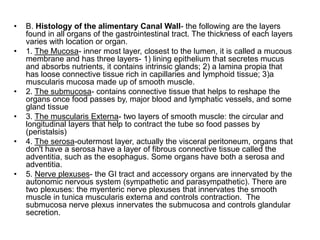 • B. Histology of the alimentary Canal Wall- the following are the layers
found in all organs of the gastrointestinal tract. The thickness of each layers
varies with location or organ.
• 1. The Mucosa- inner most layer, closest to the lumen, it is called a mucous
membrane and has three layers- 1) lining epithelium that secretes mucus
and absorbs nutrients, it contains intrinsic glands; 2) a lamina propia that
has loose connective tissue rich in capillaries and lymphoid tissue; 3)a
muscularis mucosa made up of smooth muscle.
• 2. The submucosa- contains connective tissue that helps to reshape the
organs once food passes by, major blood and lymphatic vessels, and some
gland tissue
• 3. The muscularis Externa- two layers of smooth muscle: the circular and
longitudinal layers that help to contract the tube so food passes by
(peristalsis)
• 4. The serosa-outermost layer, actually the visceral peritoneum, organs that
don't have a serosa have a layer of fibrous connective tissue called the
adventitia, such as the esophagus. Some organs have both a serosa and
adventitia.
• 5. Nerve plexuses- the GI tract and accessory organs are innervated by the
autonomic nervous system (sympathetic and parasympathetic). There are
two plexuses: the myenteric nerve plexuses that innervates the smooth
muscle in tunica muscularis externa and controls contraction. The
submucosa nerve plexus innervates the submucosa and controls glandular
secretion.
 