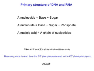 Chapter 22 Nucleic acids and Protein synthesis [Autosaved].ppt