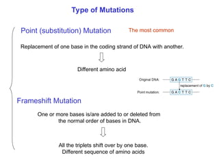 Chapter 22 Nucleic acids and Protein synthesis [Autosaved].ppt