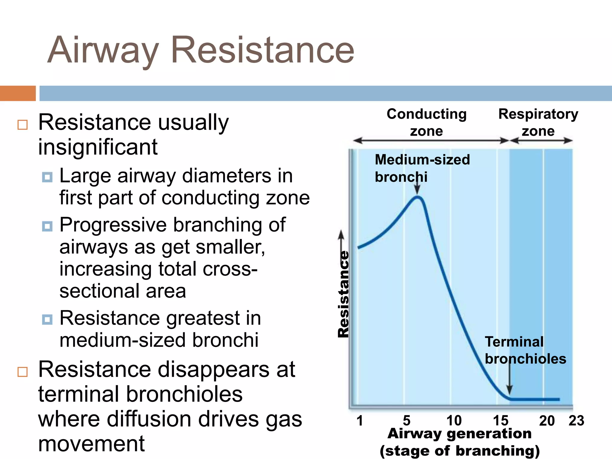 Conducting
zone
Respiratory
zone
Medium-sized
bronchi
Resistance Terminal
bronchioles
1 5 10 15 20 23
Airway generation
(stage of branching)
Airway Resistance
 Resistance usually
insignificant
 Large airway diameters in
first part of conducting zone
 Progressive branching of
airways as get smaller,
increasing total cross-
sectional area
 Resistance greatest in
medium-sized bronchi
 Resistance disappears at
terminal bronchioles
where diffusion drives gas
movement
 