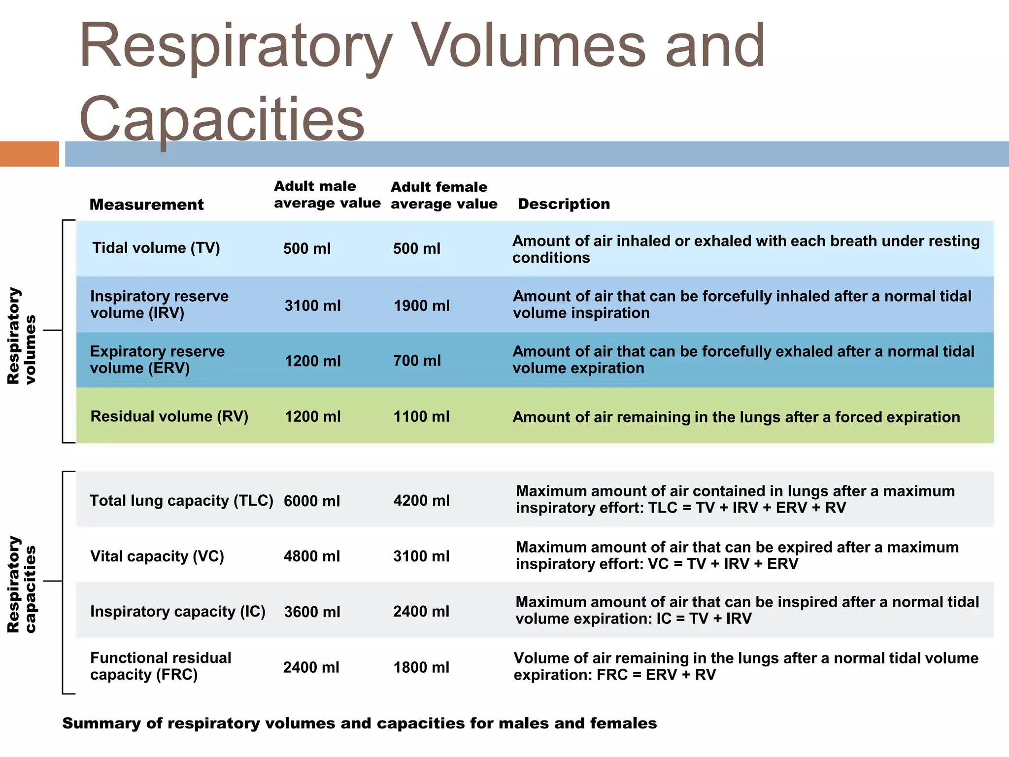 Measurement
Adult male
average value
Adult female
average value Description
Respiratory
volumes
Respiratory
capacities
Summary of respiratory volumes and capacities for males and females
Tidal volume (TV)
Inspiratory reserve
volume (IRV)
Expiratory reserve
volume (ERV)
Residual volume (RV)
500 ml 500 ml
3100 ml
1200 ml
1200 ml
1900 ml
700 ml
1100 ml
Amount of air inhaled or exhaled with each breath under resting
conditions
Amount of air that can be forcefully inhaled after a normal tidal
volume inspiration
Amount of air that can be forcefully exhaled after a normal tidal
volume expiration
Amount of air remaining in the lungs after a forced expiration
Maximum amount of air contained in lungs after a maximum
inspiratory effort: TLC = TV + IRV + ERV + RV
Maximum amount of air that can be expired after a maximum
inspiratory effort: VC = TV + IRV + ERV
Maximum amount of air that can be inspired after a normal tidal
volume expiration: IC = TV + IRV
Volume of air remaining in the lungs after a normal tidal volume
expiration: FRC = ERV + RV
6000 ml
4800 ml
3600 ml
2400 ml
4200 ml
3100 ml
2400 ml
1800 ml
Total lung capacity (TLC)
Vital capacity (VC)
Inspiratory capacity (IC)
Functional residual
capacity (FRC)
Respiratory Volumes and
Capacities
 
