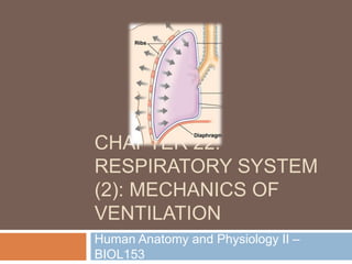 CHAPTER 22:
RESPIRATORY SYSTEM
(2): MECHANICS OF
VENTILATION
Human Anatomy and Physiology II –
BIOL153
 