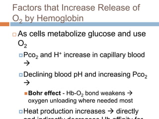 Chapter 22: Respiratory System (#3) | PPTX