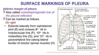 Chapter 22 Surface Marking of Thoracic Region.pptx