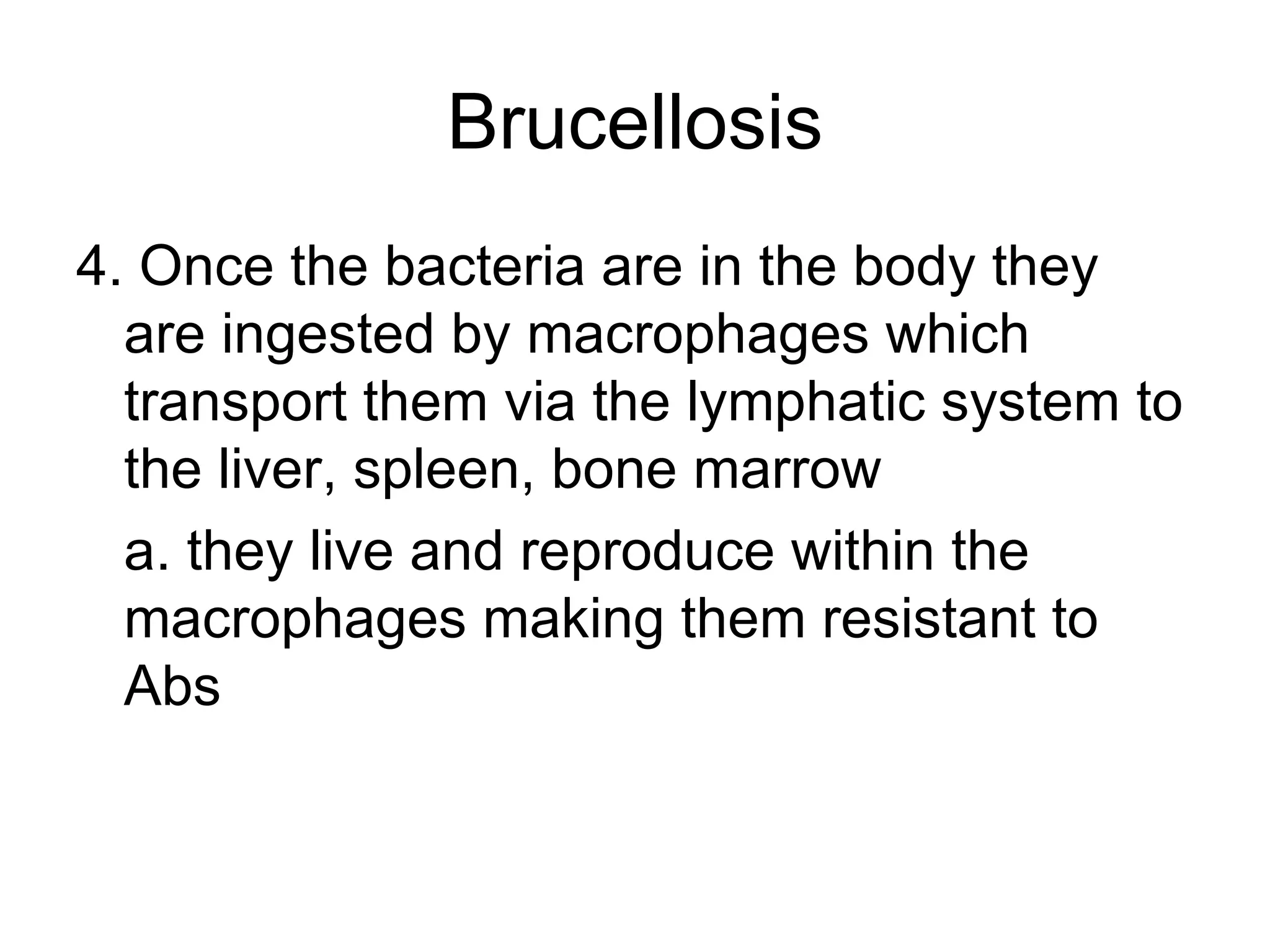 Brucellosis 4. Once the bacteria are in the body they are ingested by macrophages which transport them via the lymphatic system to the liver, spleen, bone marrow a. they live and reproduce within the macrophages making them resistant to Abs 