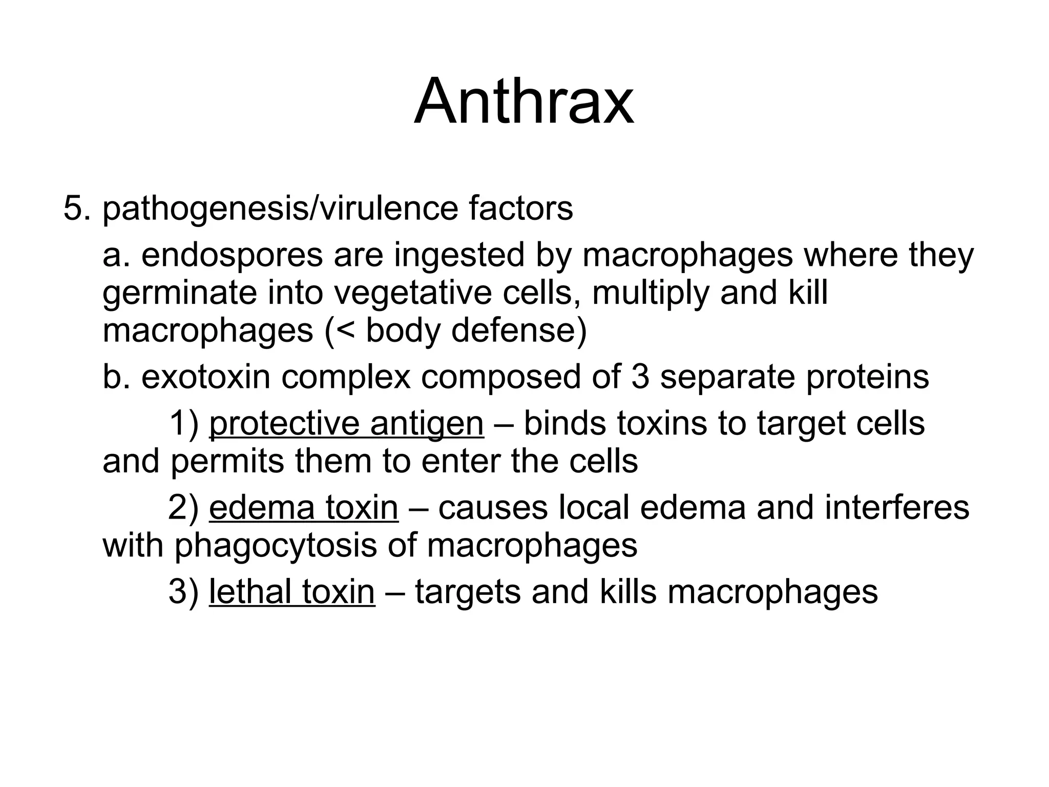 Anthrax 5. pathogenesis/virulence factors a. endospores are ingested by macrophages where they germinate into vegetative cells, multiply and kill macrophages (< body defense)  b. exotoxin complex composed of 3 separate proteins 1)  protective antigen  – binds toxins to target cells and permits them to enter the cells 2)  edema toxin  – causes local edema and interferes with phagocytosis of macrophages 3)  lethal toxin  – targets and kills macrophages 