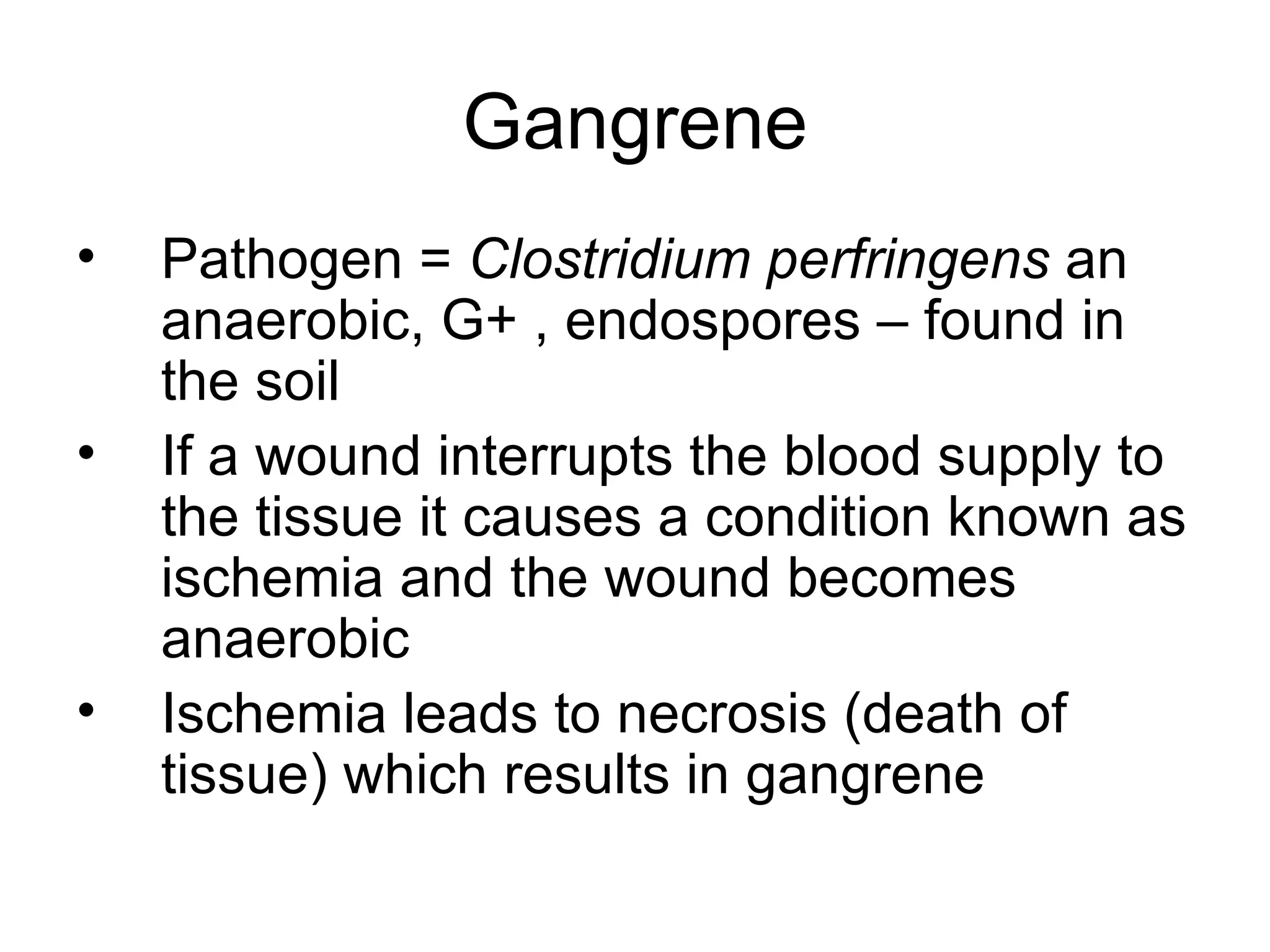 Gangrene Pathogen =  Clostridium perfringens  an anaerobic, G+ , endospores – found in the soil If a wound interrupts the blood supply to the tissue it causes a condition known as ischemia and the wound becomes anaerobic  Ischemia leads to necrosis (death of tissue) which results in gangrene 