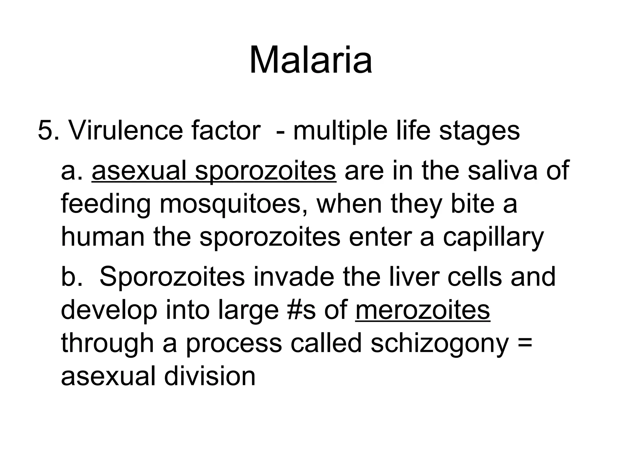 Malaria 5. Virulence factor  - multiple life stages a.  asexual sporozoites  are in the saliva of feeding mosquitoes, when they bite a human the sporozoites enter a capillary b.  Sporozoites invade the liver cells and develop into large #s of  merozoites  through a process called schizogony = asexual division 