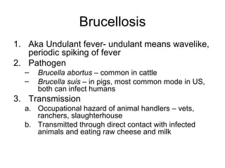 Brucellosis Aka Undulant fever- undulant means wavelike, periodic spiking of fever Pathogen Brucella abortus  – common in cattle Brucella suis  – in pigs, most common mode in US, both can infect humans  Transmission  Occupational hazard of animal handlers – vets, ranchers, slaughterhouse Transmitted through direct contact with infected animals and eating raw cheese and milk 