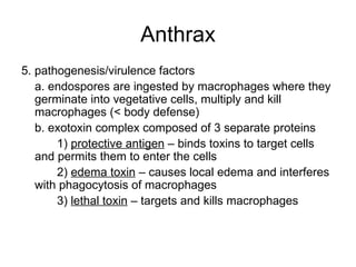 Anthrax 5. pathogenesis/virulence factors a. endospores are ingested by macrophages where they germinate into vegetative cells, multiply and kill macrophages (< body defense)  b. exotoxin complex composed of 3 separate proteins 1)  protective antigen  – binds toxins to target cells and permits them to enter the cells 2)  edema toxin  – causes local edema and interferes with phagocytosis of macrophages 3)  lethal toxin  – targets and kills macrophages 
