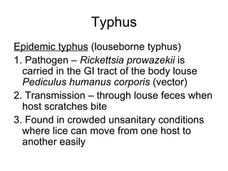 Typhus Epidemic typhus  (louseborne typhus) 1. Pathogen –  Rickettsia prowazekii  is carried in the GI tract of the body louse  Pediculus humanus corporis  (vector) 2. Transmission – through louse feces when host scratches bite 3. Found in crowded unsanitary conditions where lice can move from one host to another easily 