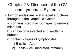 Chapter 23: Diseases of the CV and Lymphatic Systems 7. Lymph nodes are oval shaped structures throughout the lymphatic system a. contains fixed macrophages to remove microbes b. can become infected and swollen =  buboes   c. contain 2 types of lymphocytes 1) B cells – Abs 2) T cells – cell mediated immunity 