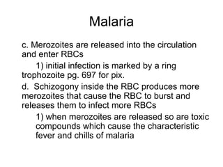 Malaria c. Merozoites are released into the circulation and enter RBCs 1) initial infection is marked by a ring  trophozoite pg. 697 for pix. d.  Schizogony inside the RBC produces more merozoites that cause the RBC to burst and releases them to infect more RBCs 1) when merozoites are released so are toxic  compounds which cause the characteristic  fever and chills of malaria 
