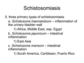 Schistosomiasis 5. three primary types of schistosomiasis a.  Schistosoma haematobium  – inflammation of the urinary bladder wall 1) Africa, Middle East, esp. Egypt b.  Schistosoma japonicum  – intestinal inflammation 1) East Asia c.  Schistosoma mansoni  – intestinal inflammation  1) South America, Caribbean, Puerto Rico 