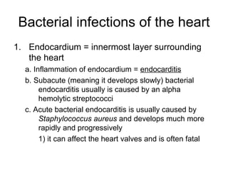 Bacterial infections of the heart Endocardium = innermost layer surrounding the heart  a. Inflammation of endocardium =  endocarditis b. Subacute (meaning it develops slowly) bacterial endocarditis usually is caused by an alpha hemolytic streptococci c. Acute bacterial endocarditis is usually caused by  Staphylococcus aureus  and develops much more rapidly and progressively 1) it can affect the heart valves and is often fatal 