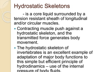 Hydroskeleton Examples Chapter 23 Protection, Support, and Movement | PPTX