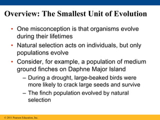 Chapter 23 The Evolution of Population. pdf | PDF