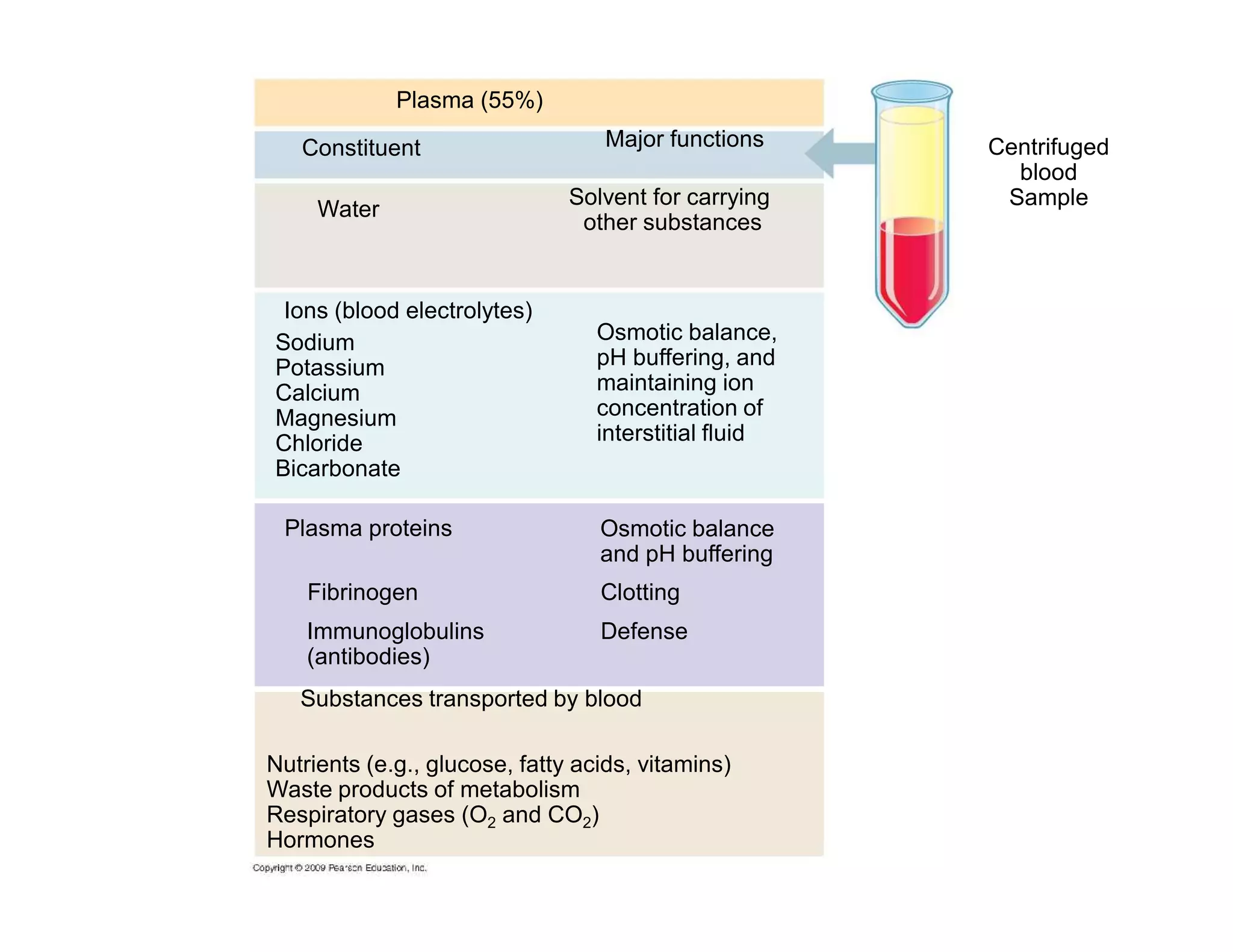 Plasma (55%) 
Constituent 
Solvent for carrying 
Water other substances 
Osmotic balance, 
pH buffering, and 
maintaining ion 
concentration of 
interstitial fluid 
Ions (blood electrolytes) 
Major functions 
Sodium 
Potassium 
Calcium 
Magnesium 
Chloride 
Bicarbonate 
Centrifuged 
blood 
Sample 
Plasma proteins 
Osmotic balance 
and pH buffering 
Fibrinogen Clotting 
Immunoglobulins Defense 
(antibodies) 
Substances transported by blood 
Nutrients (e.g., glucose, fatty acids, vitamins) 
Waste products of metabolism 
Respiratory gases (O2 and CO2) 
Hormones 
 