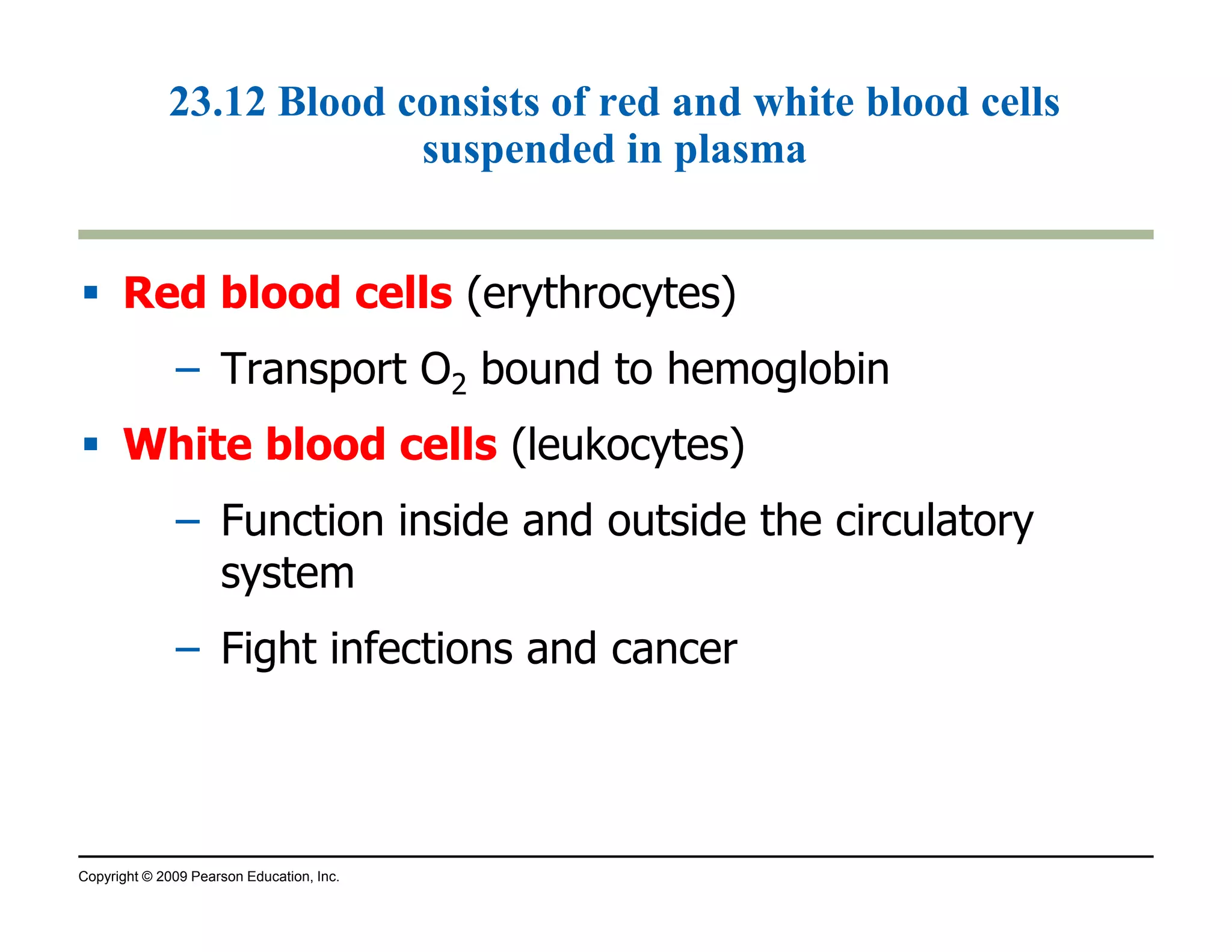 23.12 Blood consists of red and white blood cells 
suspended in plasma 
 Red blood cells (erythrocytes) 
– Transport O2 bound to hemoglobin 
 White blood cells (leukocytes) 
– Function inside and outside the circulatory 
system 
– Fight infections and cancer 
Copyright © 2009 Pearson Education, Inc. 
 