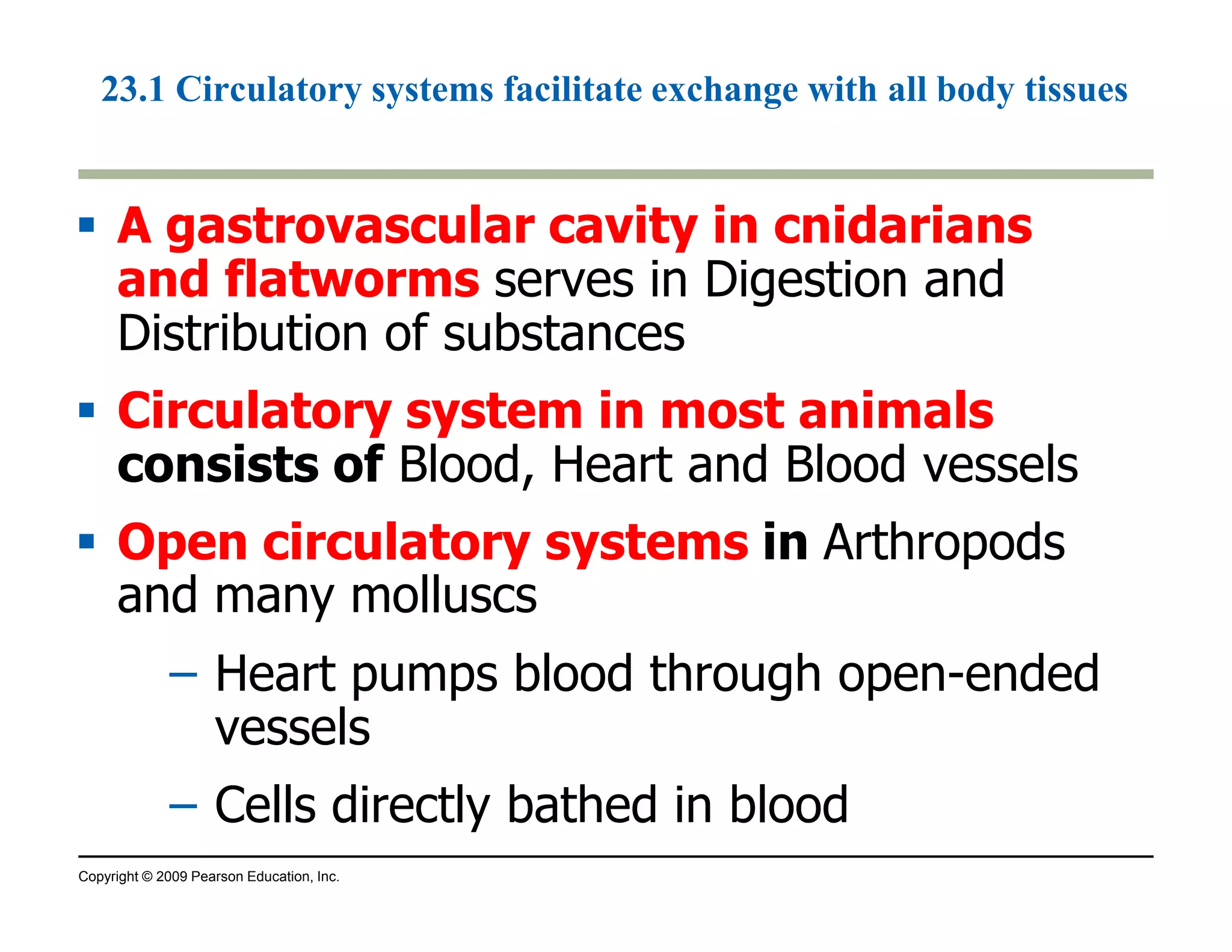 23.1 Circulatory systems facilitate exchange with all body tissues 
 A gastrovascular cavity in cnidarians 
and flatworms serves in Digestion and 
Distribution of substances 
 Circulatory system in most animals 
consists of Blood, Heart and Blood vessels 
 Open circulatory systems in Arthropods 
and many molluscs 
– Heart pumps blood through open-ended 
vessels 
– Cells directly bathed in blood 
Copyright © 2009 Pearson Education, Inc. 
 