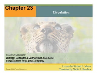 Chapter 23 
Circulation 
PowerPoint Lectures for 
Biology: Concepts & Connections, Sixth Edition 
Campbell, Reece, Taylor, Simon, and Dickey 
Copyright © 2009 Pearson Education, Inc. 
Lecture by Richard L. Myers 
Translated by Nabih A. Baeshen 
 