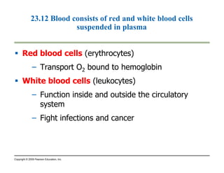 23.12 Blood consists of red and white blood cells 
suspended in plasma 
 Red blood cells (erythrocytes) 
– Transport O2 bound to hemoglobin 
 White blood cells (leukocytes) 
– Function inside and outside the circulatory 
system 
– Fight infections and cancer 
Copyright © 2009 Pearson Education, Inc. 
 