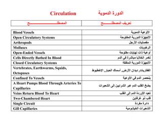 Circulation  و
 د دورة ا  ا 
 ـــــــــــــــــــــــــــــــــ  ا  ــــــــــ  ا 
 