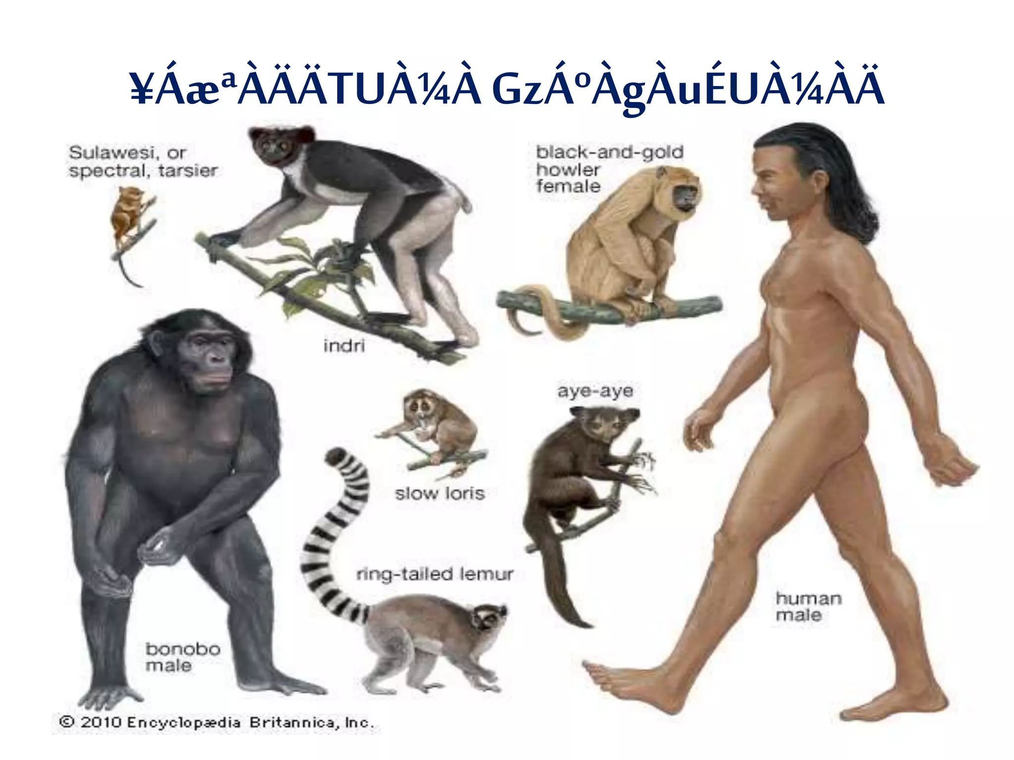 ¥ÁæªÀÄÄTUÀ¼ÀGzÁºÀgÀuÉUÀ¼ÀÄ
 