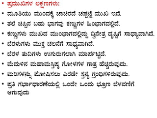 • ¥ÀæªÀÄÄTUÀ¼À ®PÀëtUÀ¼ÀÄ:
• ªÀÄÆwAiÀÄÄ ªÀÄÄAzÀPÉÌ ZÁagÀzÉ ZÀ¥ÀàmÉÖ ªÀÄÄR EzÉ.
• vÀ¯É a¦à£À §ºÀÄ ¨sÁUÀªÀÅ PÀtÄÚUÀ¼À »A¨sÁUÀzÀ°èzÉ.
• PÀtÄÚUÀ¼ÀÄ ªÀÄÄRzÀ ªÀÄÄA¨sÁUÀzÀ°èzÀÄÝ ¢é£ÉÃvÀæ zÀÈ¶ÖUÉ ¸ÁzsÁåªÁVzÉ.
• ¨ÉgÀ¼ÀÄUÀ¼ÀÄ ªÀÄÄPÀÛ ZÀ®£ÉUÉ ¸ÁzsÀåªÁVzÉ.
• ¨ÉgÀ¼À vÀÄ¢UÀ¼ÀÄ GUÀÄgÀÄUÀ¯ÁV ªÀiÁ¥ÀðnÖzÉ.
• ªÉÄzÀÄ½£À ªÀÄºÁªÀÄ¹ÛµÀÌ UÉÆÃ¼ÀUÀ¼À UÁvÀæ ºÉaÑgÀÄªÀÅzÀÄ.
• ªÀÄjUÀ¼À£ÀÄß ¥ÉÆÃ¶¸À®Ä JgÀqÉÃ ¸ÀÛ£Àå UÀæAyUÀ½gÀÄªÀÅzÀÄ.
• ¥Àæw UÀ¨sÁðzsÁgÀuÉAiÀÄ°è MAzÉÃ MAzÀÄ ¨sÀÆæt ¨É¼ÀªÀtÂUÉ
DUÀÄªÀÅzÀÄ
 