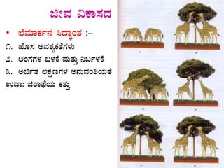 fÃªÀ «PÁ¸ÀzÀ ¹zÁÞAvÀUÀ¼ÀÄ
• ¯ÉªÀiÁPÀð£À ¹zÁÞAvÀ :-
1. ºÉÆ¸À CªÀ±ÀåPÀvÉUÀ¼ÀÄ
2. CAUÀUÀ¼À §¼ÀPÉ ªÀÄvÀÄÛ ¤§ð¼ÀPÉ
3. CfðvÀ ®PÀëtUÀ¼À C£ÀÄªÀA²AiÀÄvÉ
GzÁ: fgÁ¥sÉAiÀÄ PÀvÀÄÛ
 