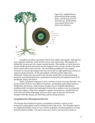 Treacheophytes | PDF