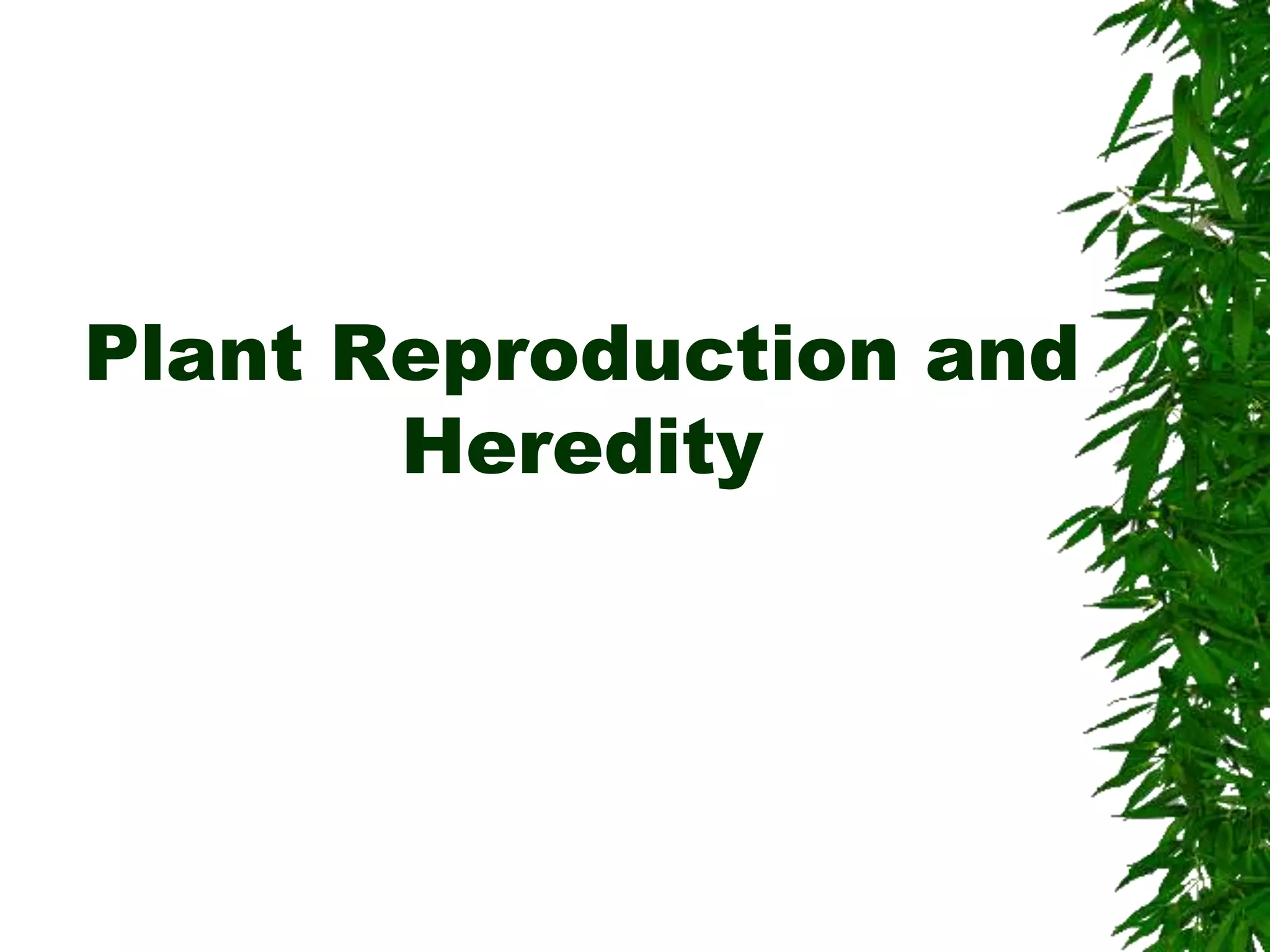 Chapter 23 Plant Reproduction.ppt
