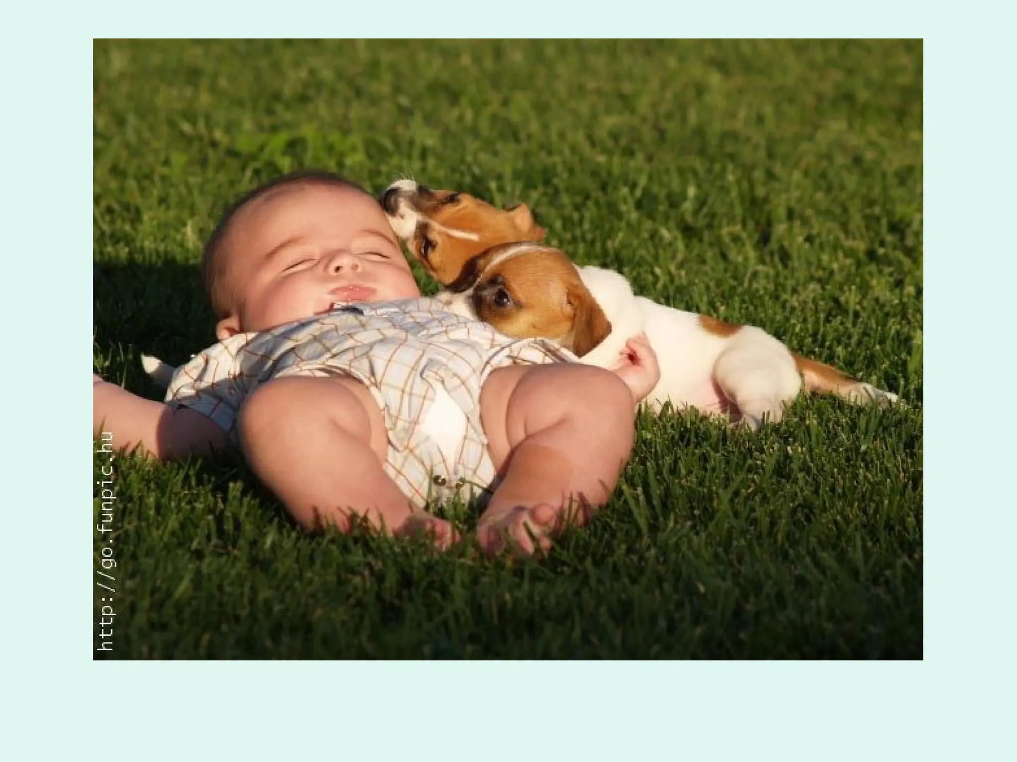 Chapter 2_3 Polynomial Functions and Their Graphs _Blitzer 2_ _1_.ppt