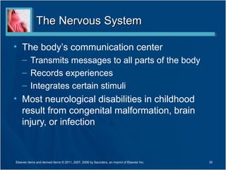 The Nervous SystemThe Nervous System
• The body’s communication center
– Transmits messages to all parts of the body
– Records experiences
– Integrates certain stimuli
• Most neurological disabilities in childhood
result from congenital malformation, brain
injury, or infection
35Elsevier items and derived items © 2011, 2007, 2006 by Saunders, an imprint of Elsevier Inc.
 