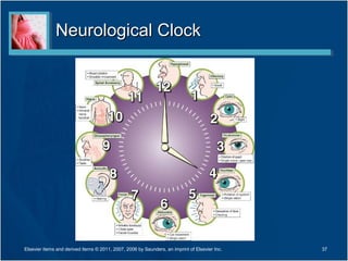 37
Neurological ClockNeurological Clock
Elsevier items and derived items © 2011, 2007, 2006 by Saunders, an imprint of Elsevier Inc.
 