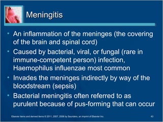 MeningitisMeningitis
• An inflammation of the meninges (the covering
of the brain and spinal cord)
• Caused by bacterial, viral, or fungal (rare in
immune-competent person) infection,
Haemophilus influenzae most common
• Invades the meninges indirectly by way of the
bloodstream (sepsis)
• Bacterial meningitis often referred to as
purulent because of pus-forming that can occur
Elsevier items and derived items © 2011, 2007, 2006 by Saunders, an imprint of Elsevier Inc. 43
 