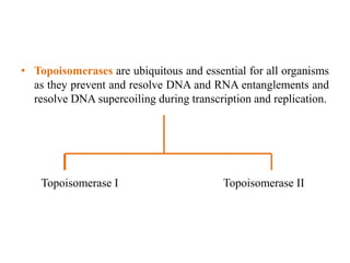 • Topoisomerases are ubiquitous and essential for all organisms
as they prevent and resolve DNA and RNA entanglements and
resolve DNA supercoiling during transcription and replication.
Topoisomerase I Topoisomerase II
 
