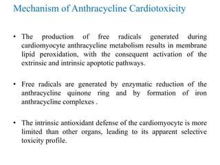 Mechanism of Anthracycline Cardiotoxicity
• The production of free radicals generated during
cardiomyocyte anthracycline metabolism results in membrane
lipid peroxidation, with the consequent activation of the
extrinsic and intrinsic apoptotic pathways.
• Free radicals are generated by enzymatic reduction of the
anthracycline quinone ring and by formation of iron
anthracycline complexes .
• The intrinsic antioxidant defense of the cardiomyocyte is more
limited than other organs, leading to its apparent selective
toxicity profile.
 