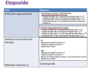 Etoposide
• USES
• Small cell carcinoma
• Testicular carcinoma
USES Regimens
Small Cell Lung Carcinoma
Testicular Cancer (First line
therapy)
Metastatic testicular ca Oral Etoposide
 