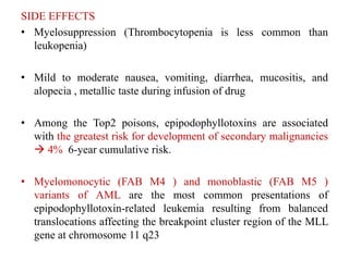 SIDE EFFECTS
• Myelosuppression (Thrombocytopenia is less common than
leukopenia)
• Mild to moderate nausea, vomiting, diarrhea, mucositis, and
alopecia , metallic taste during infusion of drug
• Among the Top2 poisons, epipodophyllotoxins are associated
with the greatest risk for development of secondary malignancies
 4% 6-year cumulative risk.
• Myelomonocytic (FAB M4 ) and monoblastic (FAB M5 )
variants of AML are the most common presentations of
epipodophyllotoxin-related leukemia resulting from balanced
translocations affecting the breakpoint cluster region of the MLL
gene at chromosome 11 q23
 