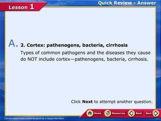 Quick Review - Answer
Lesson 1




A. 2. Cortex: pathenogens, bacteria, cirrhosis
    Types of common pathogens and the diseases they cause
    do NOT include cortex—pathenogens, bacteria, cirrhosis.




                         Click Next to attempt another question.
 