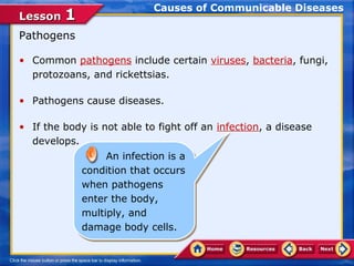Causes of Communicable Diseases
Lesson 1
Pathogens

• Common pathogens include certain viruses, bacteria, fungi,
  protozoans, and rickettsias.

• Pathogens cause diseases.

• If the body is not able to fight off an infection, a disease
  develops.
                  An infection is a
                  An infection is a
             condition that occurs
             condition that occurs
             when pathogens
             when pathogens
             enter the body,
             enter the body,
             multiply, and
             multiply, and
             damage body cells.
             damage body cells.
 