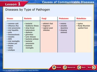 Causes of Communicable Diseases
Lesson 1
Diseases by Type of Pathogen
 