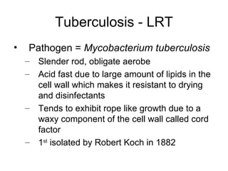 Tuberculosis - LRT Pathogen =  Mycobacterium tuberculosis   Slender rod, obligate aerobe Acid fast due to large amount of lipids in the cell wall which makes it resistant to drying and disinfectants Tends to exhibit rope like growth due to a waxy component of the cell wall called cord factor 1 st  isolated by Robert Koch in 1882 