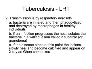 Tuberculosis - LRT 2. Transmission is by respiratory aerosols a. bacteria are inhaled and then phagocytized and destroyed by macrophages in healthy individuals b. if an infection progresses the host isolates the bacteria in a walled lesion called a tubercle (or granuloma) c. if the disease stops at this point the lesions slowly heal and become calcified and appear on X ray as Ghon complexes 