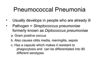 Pneumococcal Pneumonia Usually develops in people who are already ill Pathogen =  Streptococcus pneumoniae  formerly known as  Diplococcus pneumoniae a.  Gram positive coccus b. Also causes otitis media, meningitis, sepsis c. Has a capsule which makes it resistant to phagocytosis and  can be differentiated into 90 different serotypes 